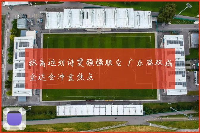 林高远刘诗雯强强联合 广东混双成全运会冲金焦点